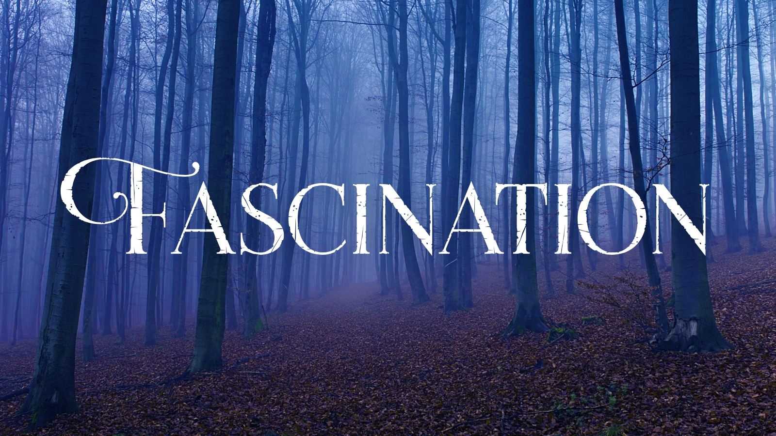Fascination Fascination